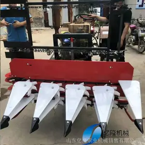 ����ʽ�������ո�� �����֦����ɹ�� «έ�������