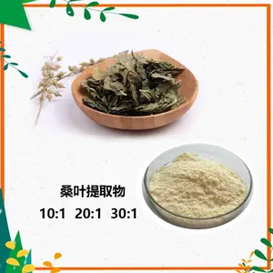 1-脱氧野尻霉素（1-DNJ）桑叶水溶粉 厂家供货 资质齐全