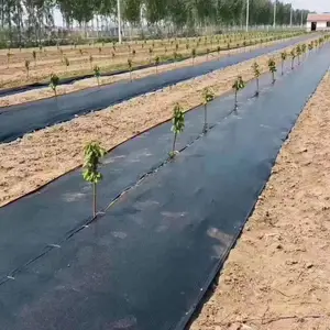 防草布全国供应 生态降解园艺除草布 新疆西梅供货商