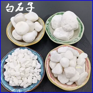 40斤天然白石子造景庭院景观铺路花盆景鱼缸烟灰缸多肉铺面鹅卵石