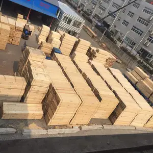 ����Ͽ����ľ����Ǯ