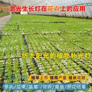 补光灯种无花果-无花果补光灯-诺达植物补光灯(查看)