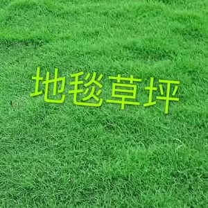 �󹺹��򶫸۷�Ǿ�������С����԰ѧУ��ƺ