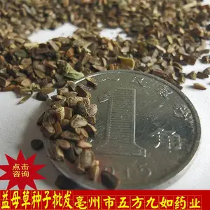 益母草种子报价