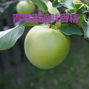 工业遮味去味青苹果香精