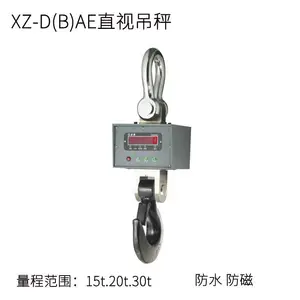 XZ-D(B)AE ֱ�ӵ���15t 20t 30t���λ���� �������ŵ�����