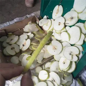 ũ���к���Ƭ�� �綯�ع���Ƭ�� С���к���Ƭ��