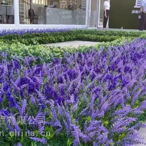 沈阳超市花艺组合场景
