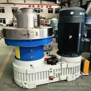 �����������ʿ����� ���;�ĩ���������� ���Ϳ���������������
