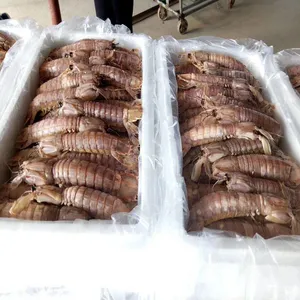 宝尔特隧道式 皮皮虾速冻机 虾爬子冻品 河鲜海鲜加工设备