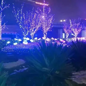 �����̳���ľ�����Ƶ���ľ������������������������������