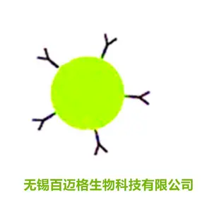 磁珠偶联抗体技术服务
