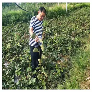 ����⨺����������Ǯһ�� �������ļ޽�⨺���������