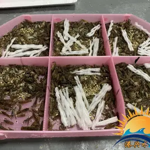 ���޴���Ϻ�������� 2-4���׵�ˮϺ�� ��ֳʳ�ð��޴���ϺϺ��۸� ����ˮ���ʻ��