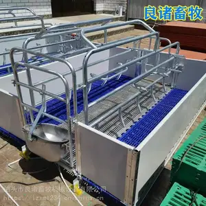 良诸畜牧养猪场欧式母猪双体产床