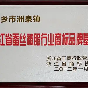 天然蚕丝凉感双人被 浙江五世同堂真丝家纺供应