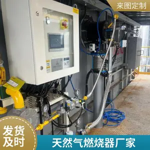 汽车产线水槽加热燃烧器 烤漆烘干房天然气燃烧器源头厂家岱鼎燃烧
