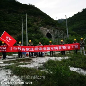 陕西防水堵漏公司哪家强