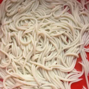 �㶫�ز�����ۻ����������ۻ�����ۻ����̰���