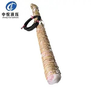 ����ҺѹZYLC-06-5000-10Ƥ����ȫ�Զ�Һѹ����װ��