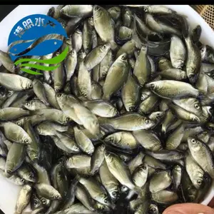 ������Ӧ��ˮ������ ����|����|��������***��