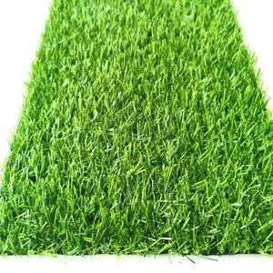 1.5cm���ܱ��������ƺΧ�� ��Ѹɸ��ѧУ��̨��̺�ص�����ƺ����