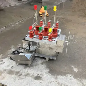 ZW10-12GG/630A智能双电源高压真空断路器10KV双隔离断路器