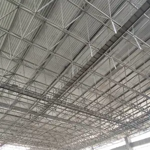 国际会展中心网架展览馆网架 东吴网架