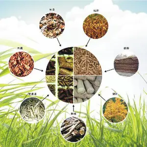 通辽生物质颗粒_通辽生物质颗粒燃料_龙晟能源