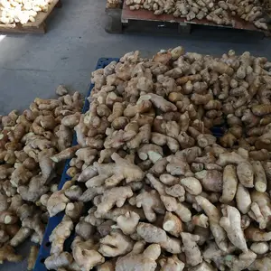 �������豸 ���������豸 �����ͼӹ��豸 �����ͳ����豸 �������۳����豸
