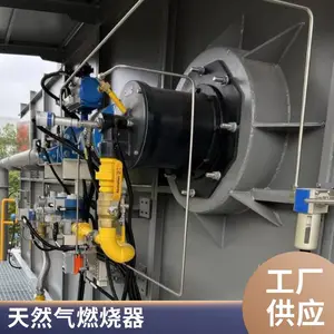 RCO催化 发货迅速 匠心打造 岱鼎烧嘴燃烧器 空气加热燃烧器