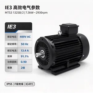 �����OEMER��Ĭ MTS3 132SB/2�����첽��� IE3 ��������������