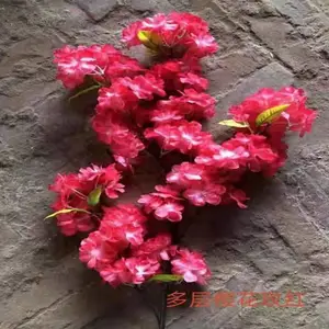 װ���÷��滨���� ���Ǹ߷�����ֲ�� Ծ�ܷ���ֲ��