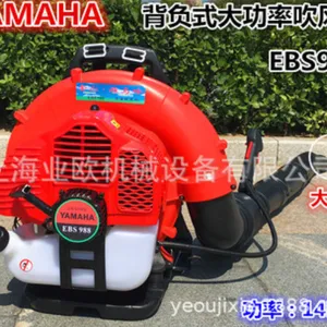 ��ɽ������EBS998�������� ���ﴵѩ�� ���ʹ���������������