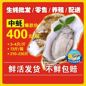 台山生蚝批发 【优选中蚝】 3~4两 产地直供 现捞现发 一手货源