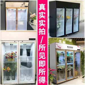 ��ѩ�ʻ����ʹ� ����չʾ��ع� �����ʻ���ع�