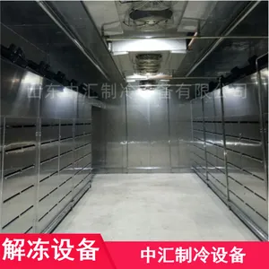低温高湿解冻机 羊酮体缓化机 大块猪牛羊肉缓化设备厂