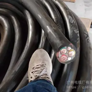 ����˫�� ���ߵ���  RVV��о������ͭо���� 1.5ƽ��