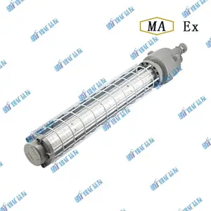 DGS36/127L(A)矿用隔爆型LED巷道灯