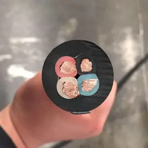 ����WD-MY-0.38/0.66������±�������������� ����ⳤ����ɹ