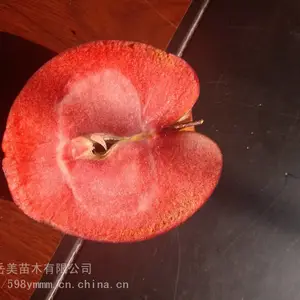 5����ƻ���� ƻ��������Ʒ�ּ�Ч�������