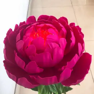 ���Ƴ���ˮ�ɻ�õ�廨�̳���Ӧ�����Զ�������ģ�����������µ���