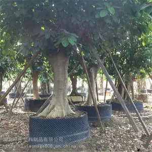 果苗控根器 园艺养殖控根器 植树专用控根器 河北祥庆