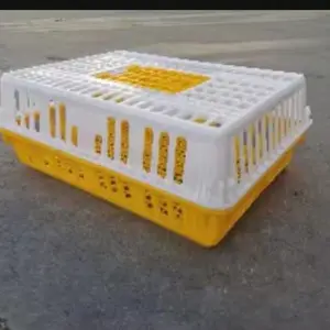 周转笼加厚塑料成鸡长途运输家禽运输筐周转箱元宝大笼门富博农牧