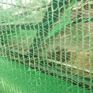 �������������� �������ط����� 8�׿�����������