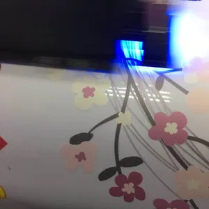 ����ʥ�����˳����� ѩ��͸����ֽ�����ж�����