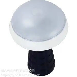 SW2170 ����С�ͷ����|�ֳ�����Ģ����