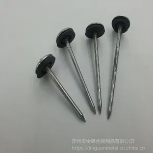 ��Ӧ���ֹ��ֱ�����㶤 ������㶤