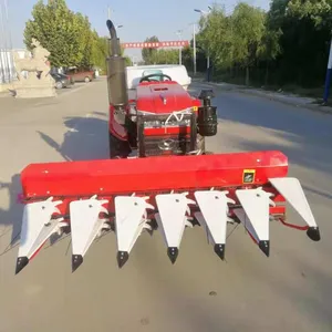 ����ֱ����ɹ�� ����С�͸�ɹ�� ���׽ոѸ�ɹ��