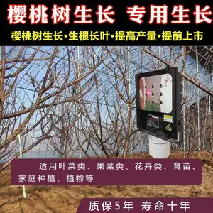 补光灯-诺达激光植物补光灯-补光灯对樱桃花的影响